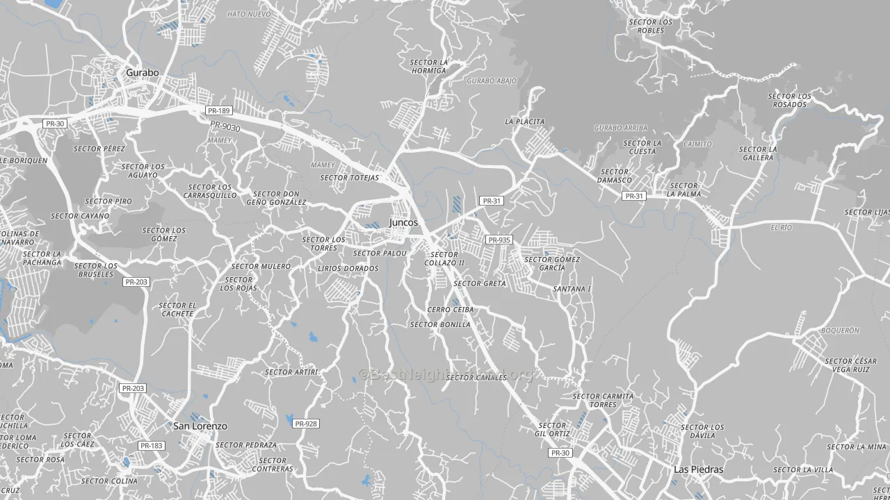 Transit Grade map of Juncos Municipio, PR