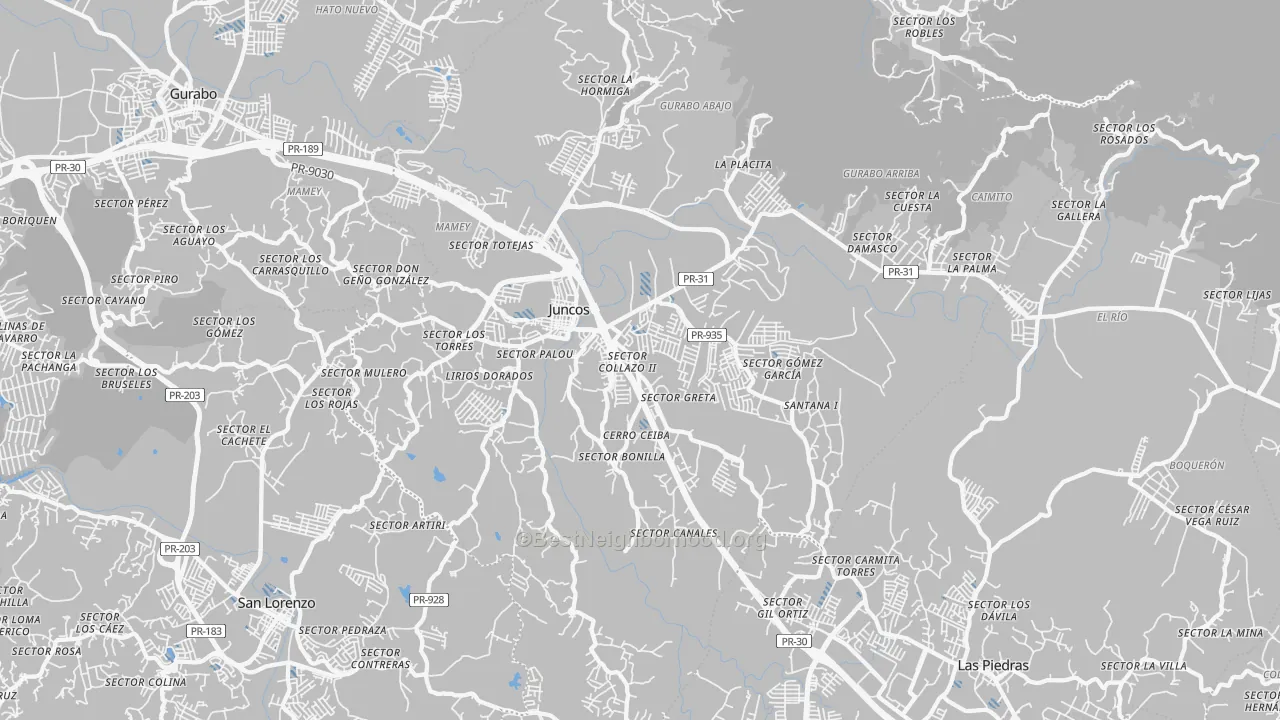 Transit Grade map of Juncos, PR
