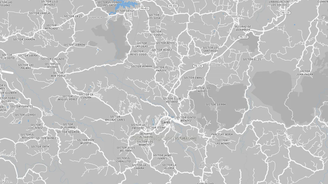 Transit Grade map of Lares, PR