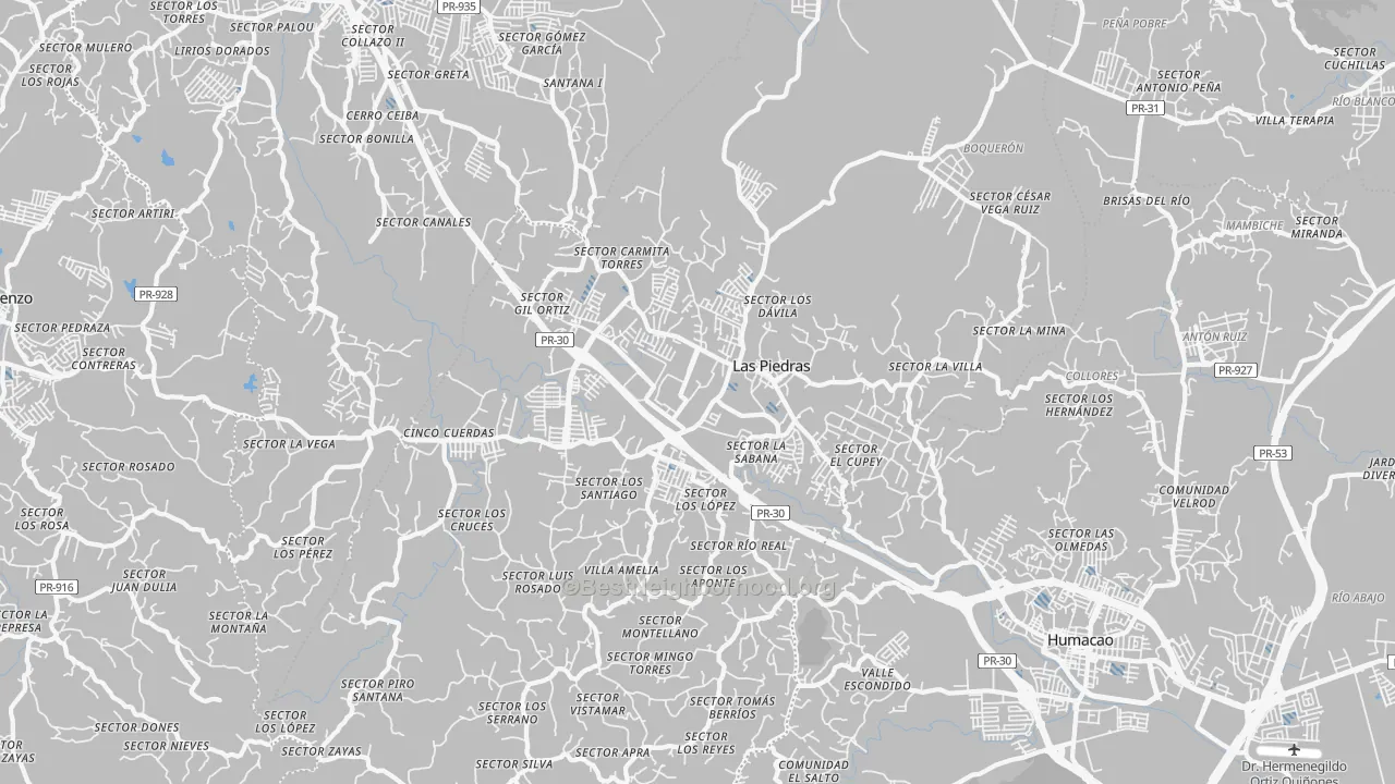 Transit Grade map of Las Piedras Municipio, PR