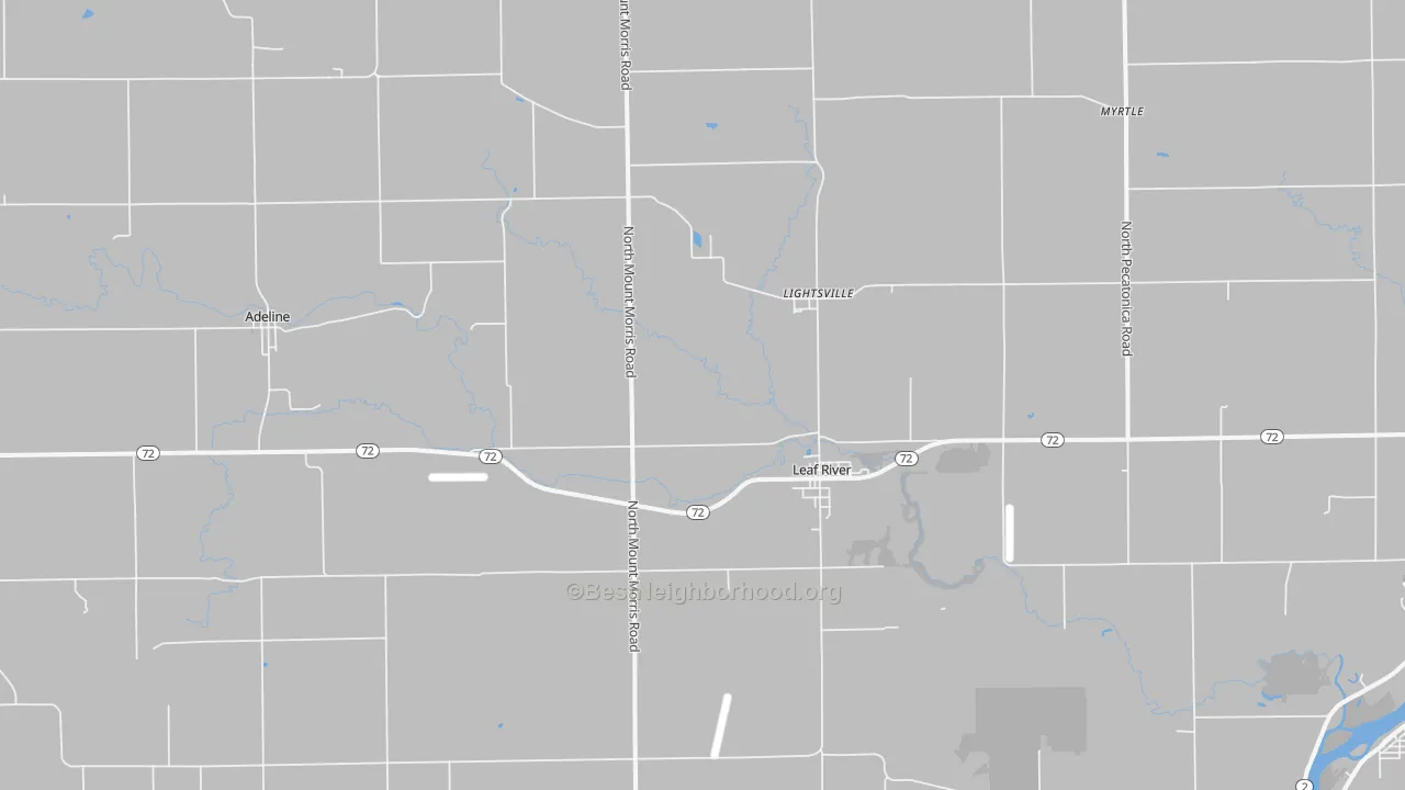 Transit Grade map of Leaf River, IL