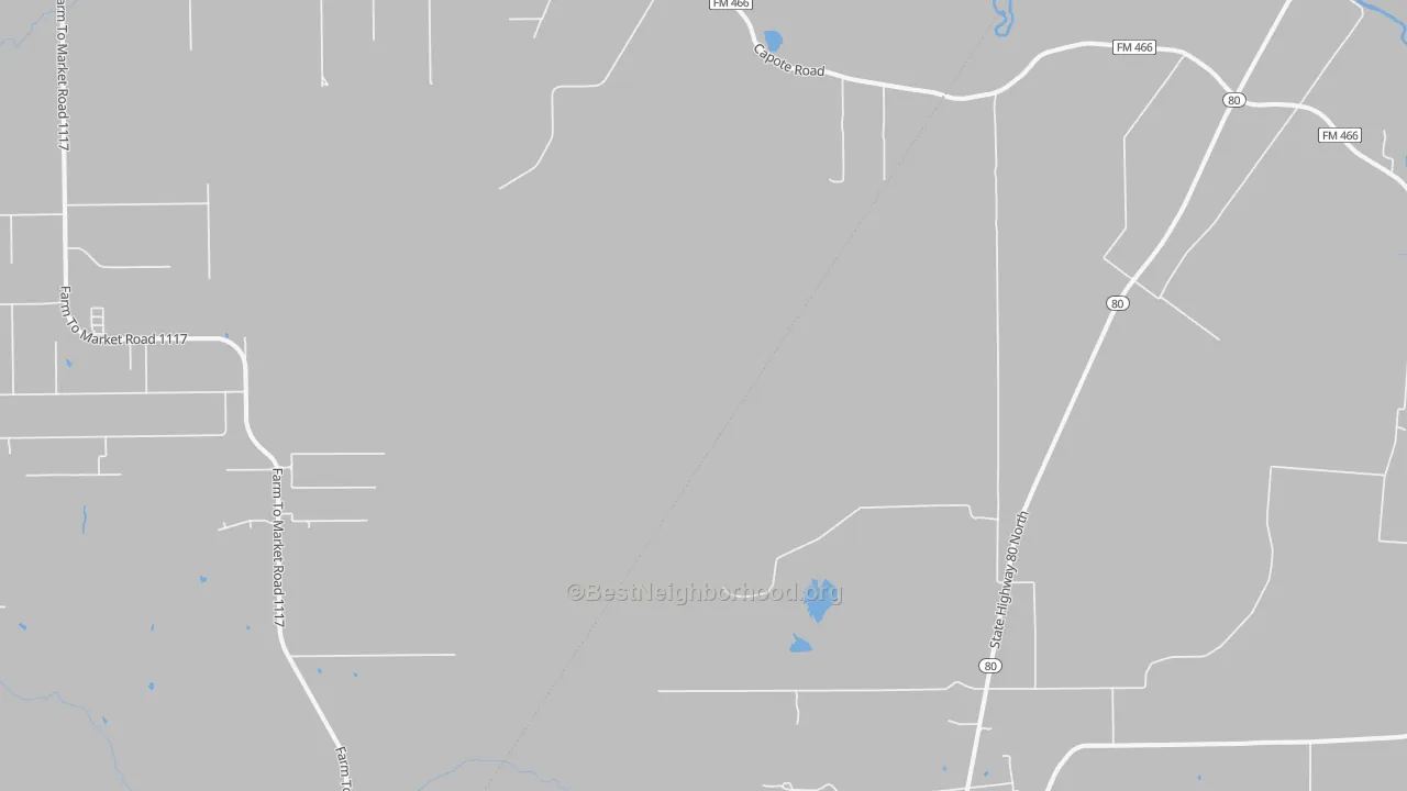 Transit Grade map of Leesville, TX