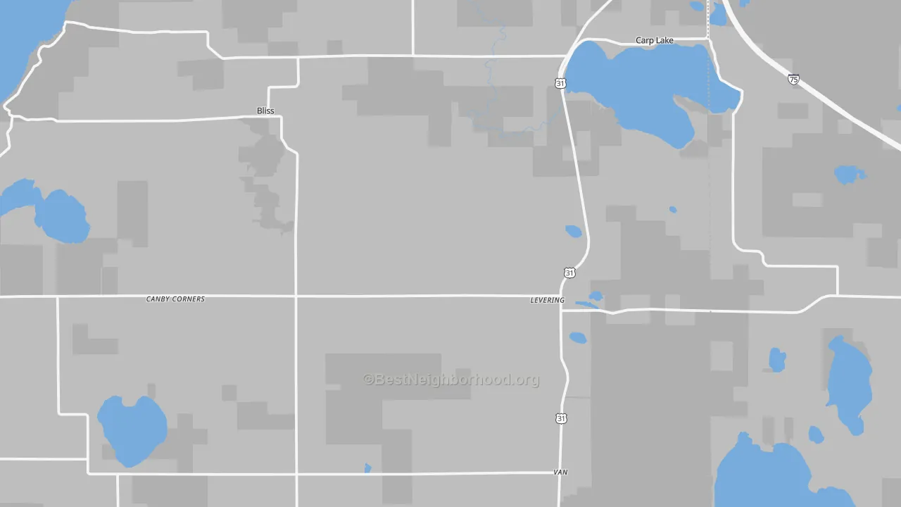 Transit Grade map of Levering, MI