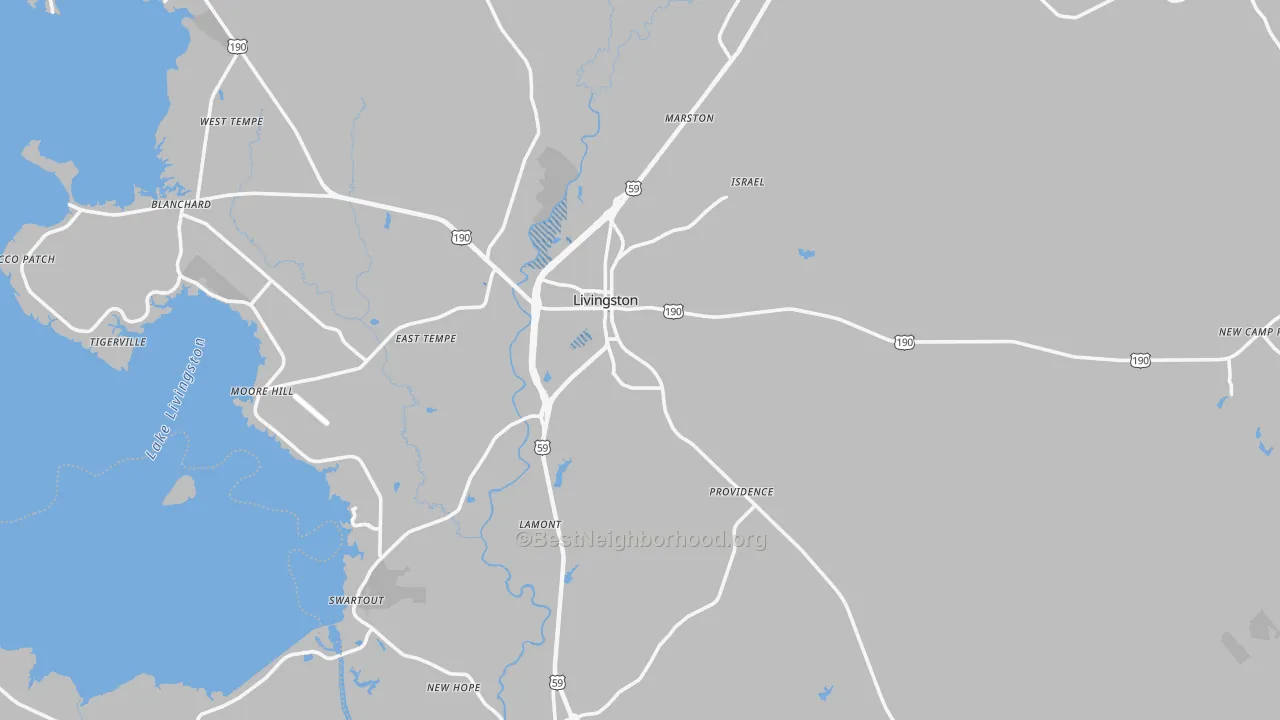 Transit Grade map of Livingston, TX