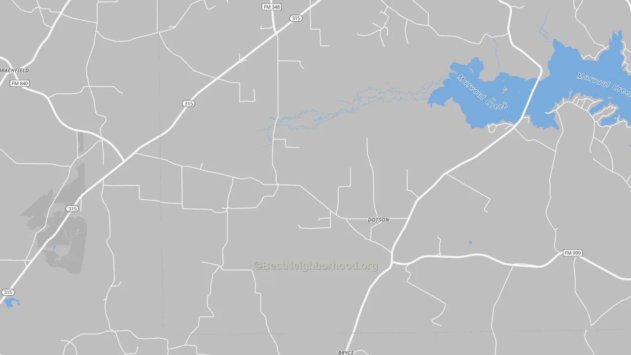 Transit Grade map of Long Branch, TX