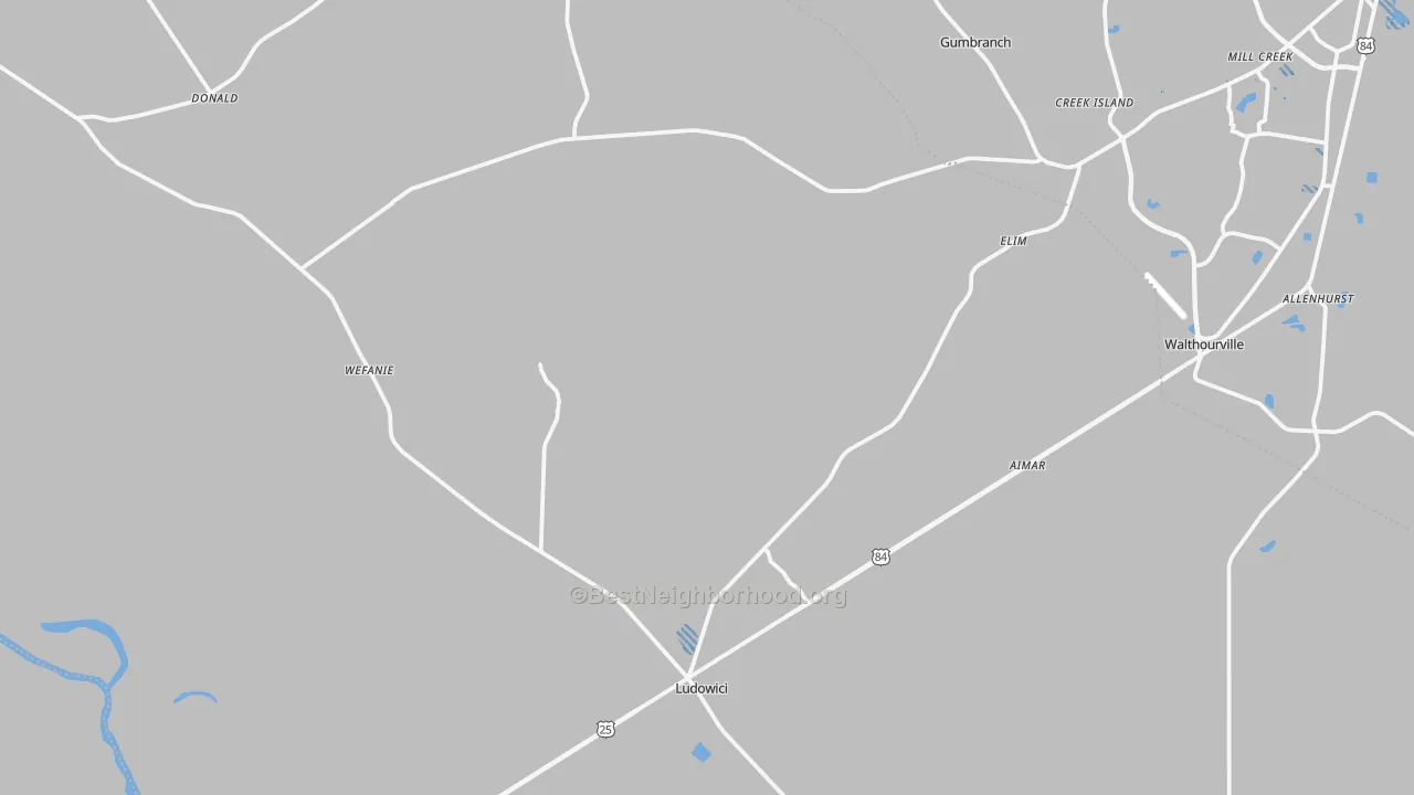 Transit Grade map of Ludowici, GA