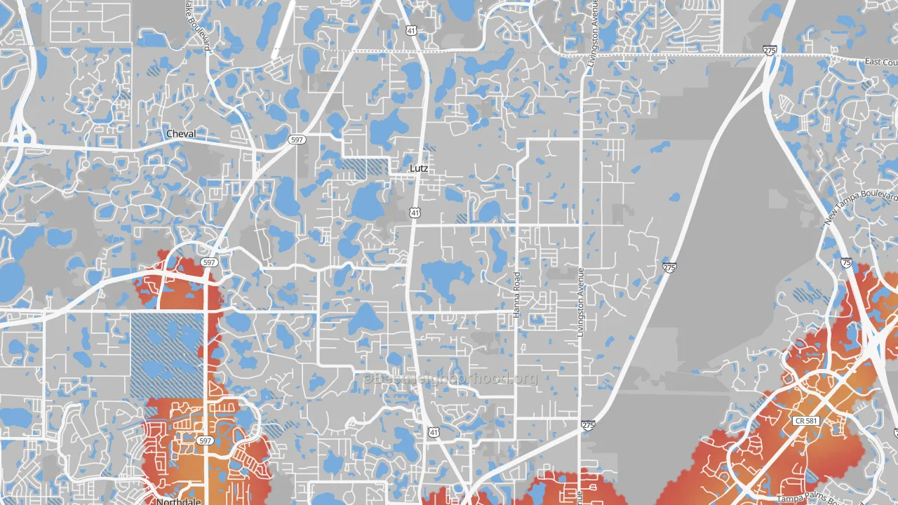 Transit Grade map of Lutz, FL