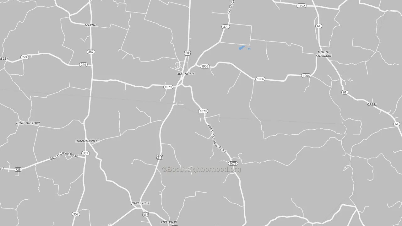 Transit Grade map of Magnolia, KY