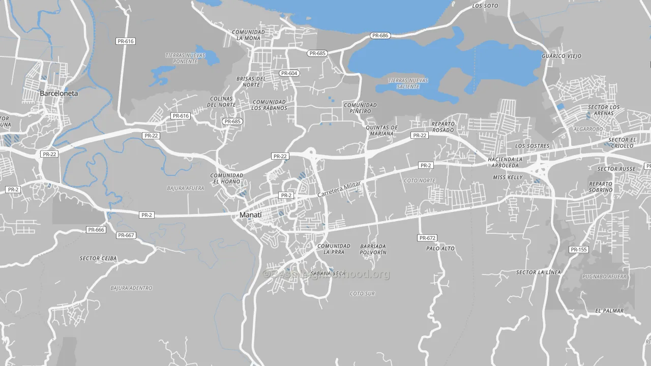 Transit Grade map of Manati, PR
