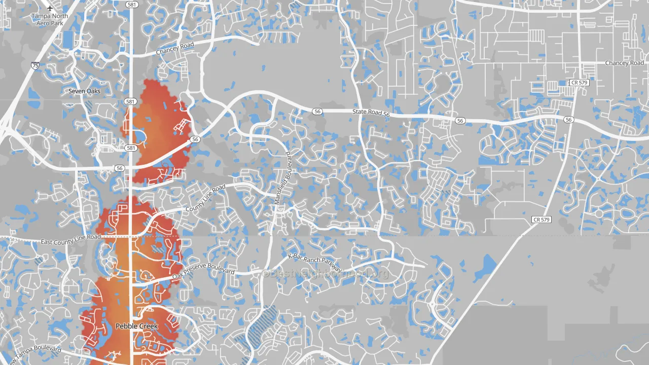 Transit Grade map of Meadow Point, Wesley Chapel, FL