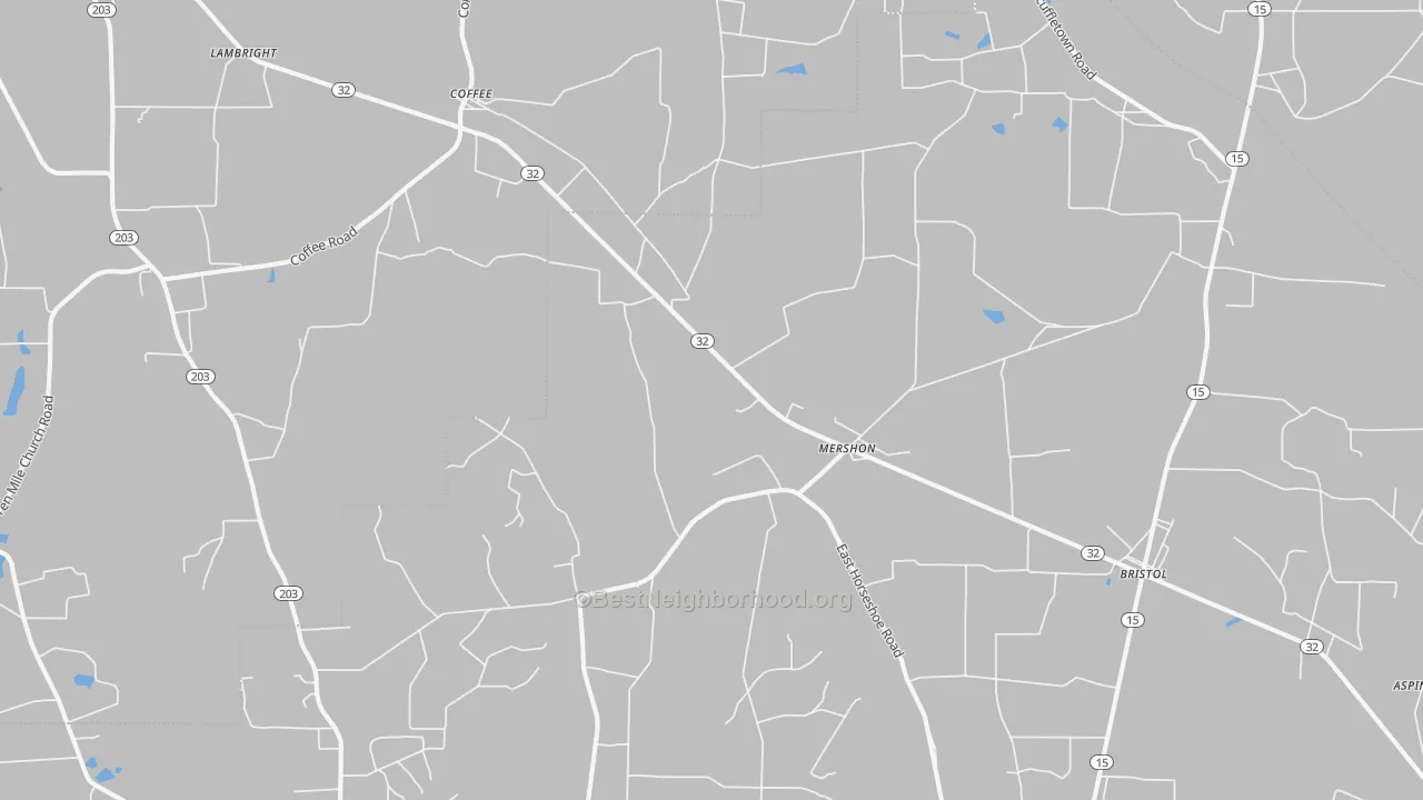Transit Grade map of Mershon, GA