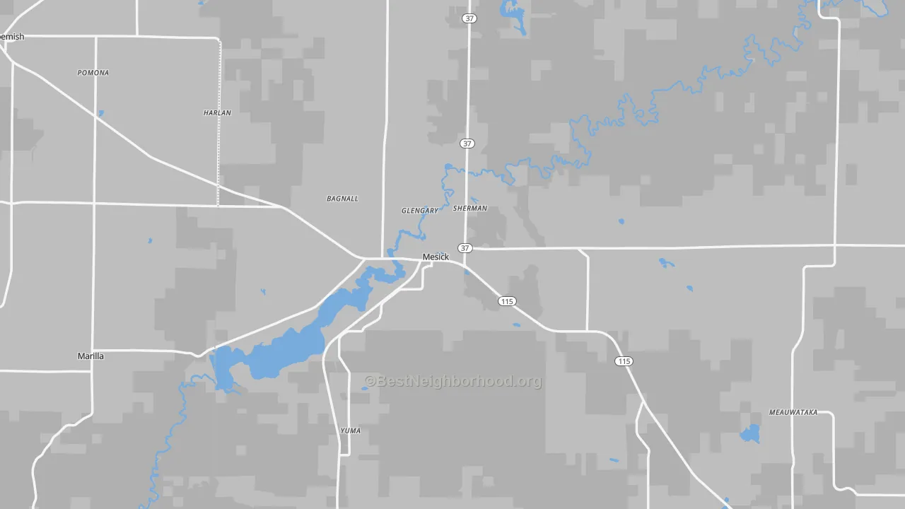 Transit Grade map of Mesick, MI