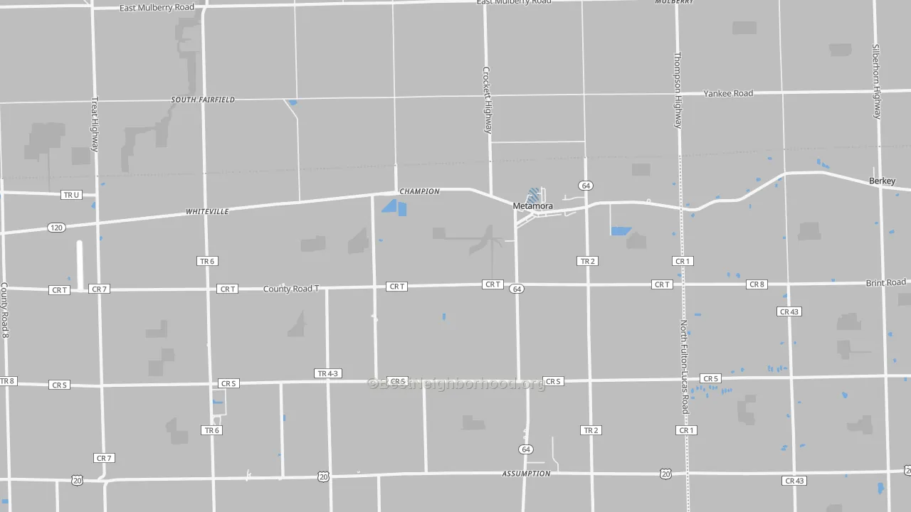 Transit Grade map of Metamora, OH