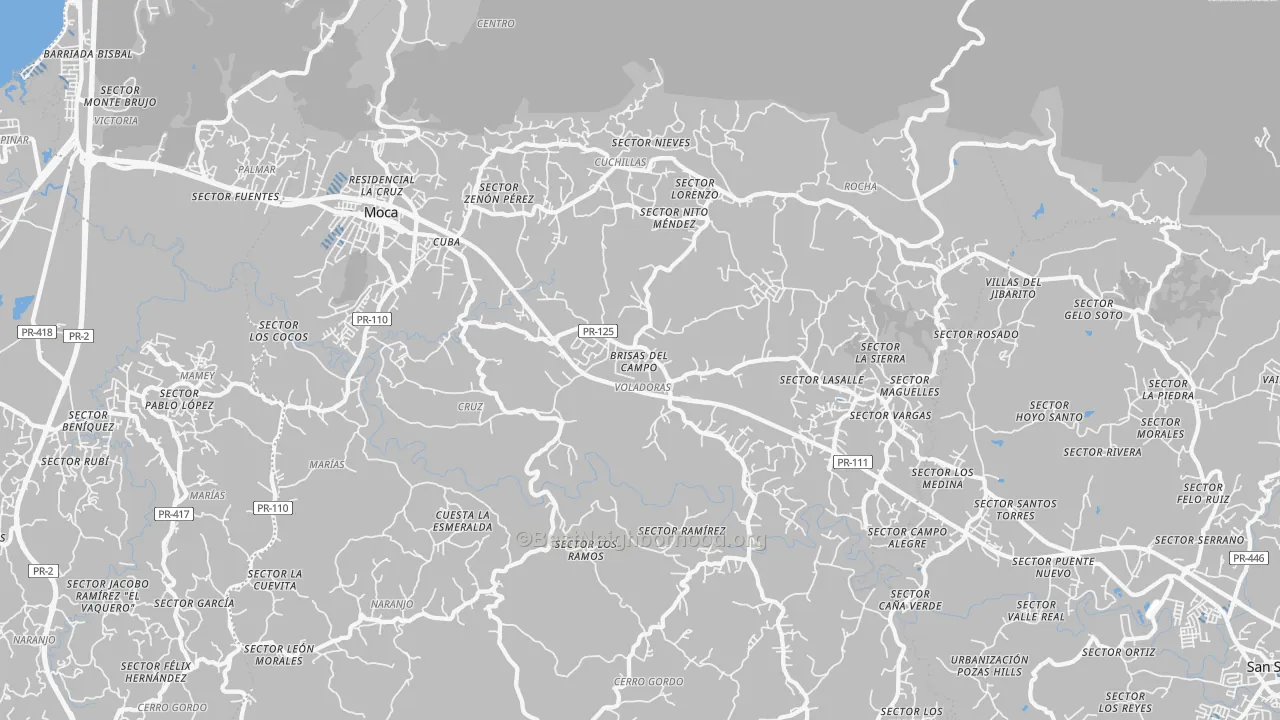Transit Grade map of Moca, PR