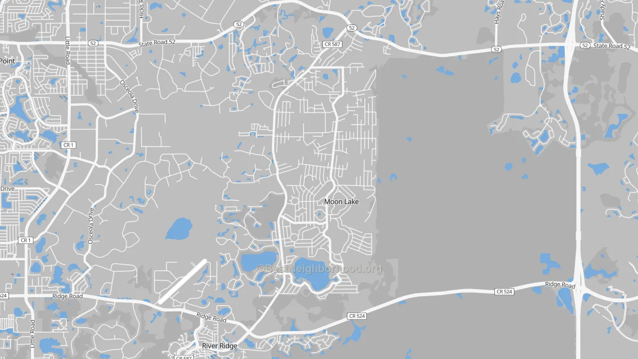 Transit Grade map of Moon Lake Estates, Moon Lake, FL