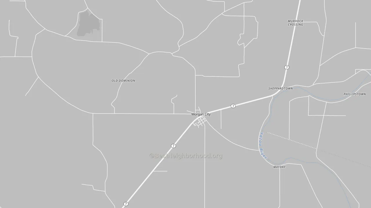 Transit Grade map of Morgan City, MS