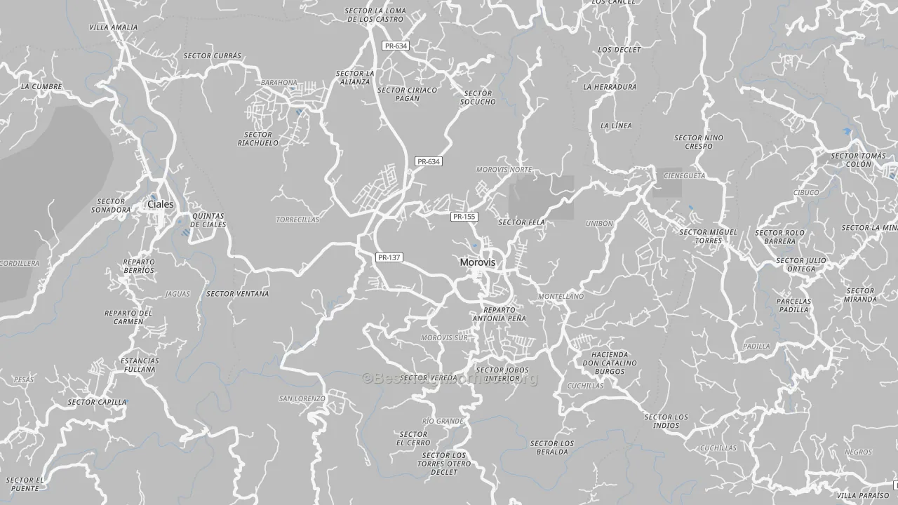 Transit Grade map of Morovis Municipio, PR