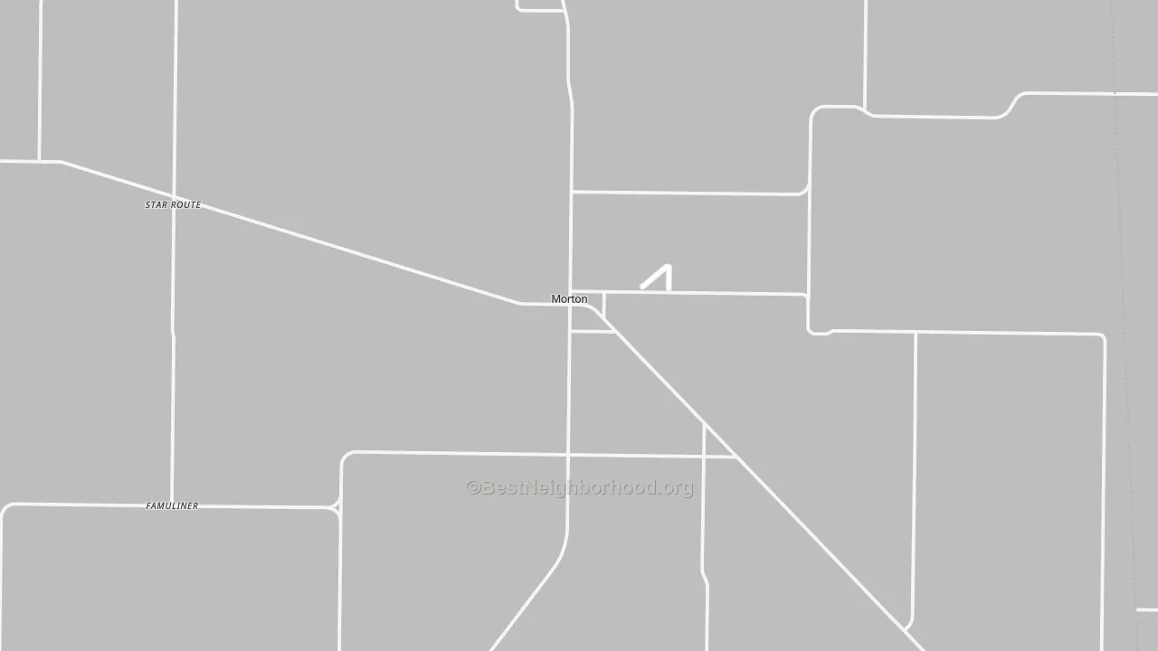 Transit Grade map of Morton, TX