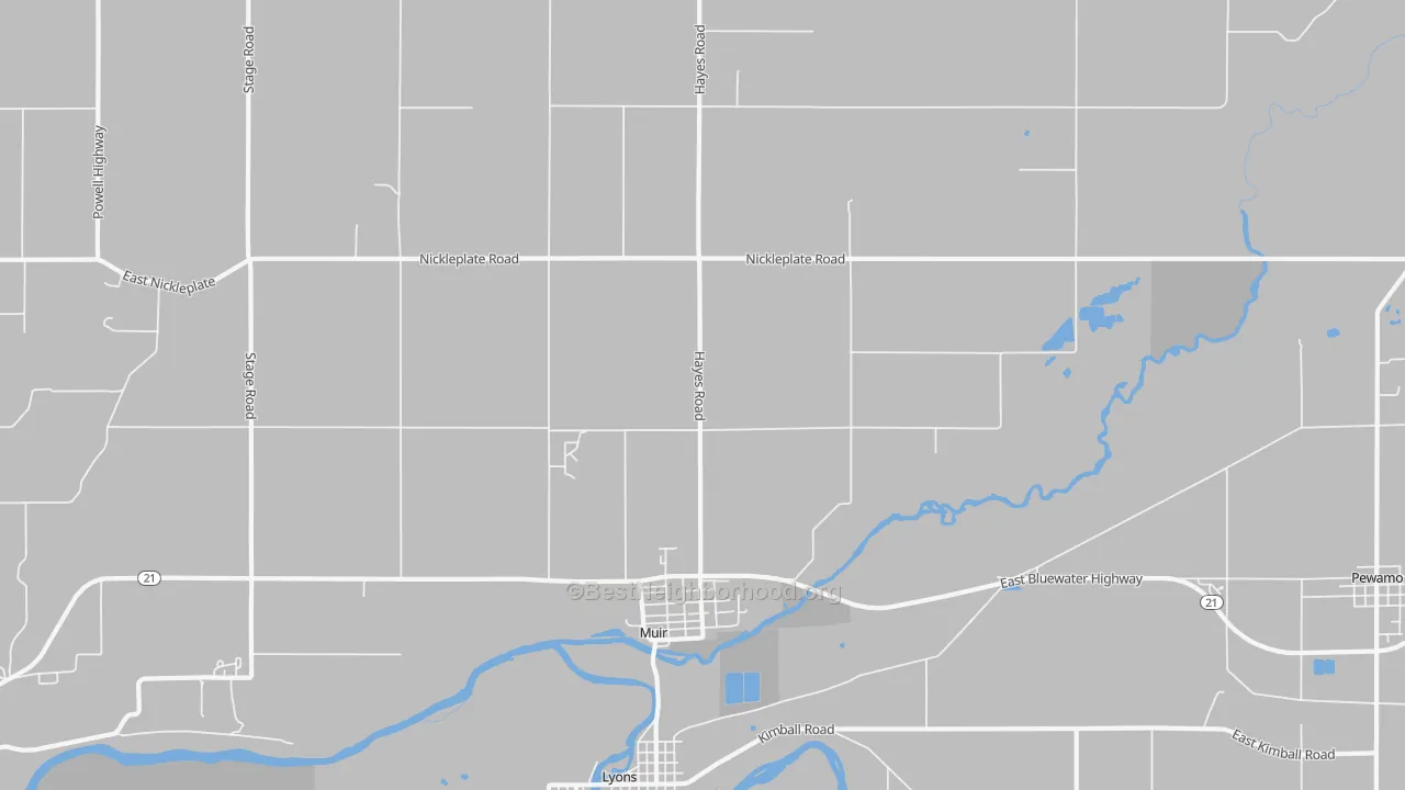 Transit Grade map of Muir, MI