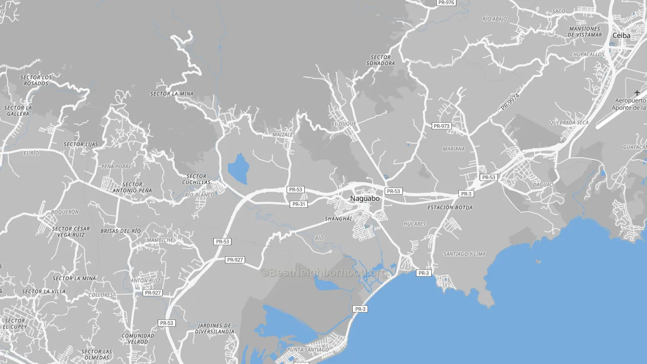 Transit Grade map of Naguabo Municipio, PR