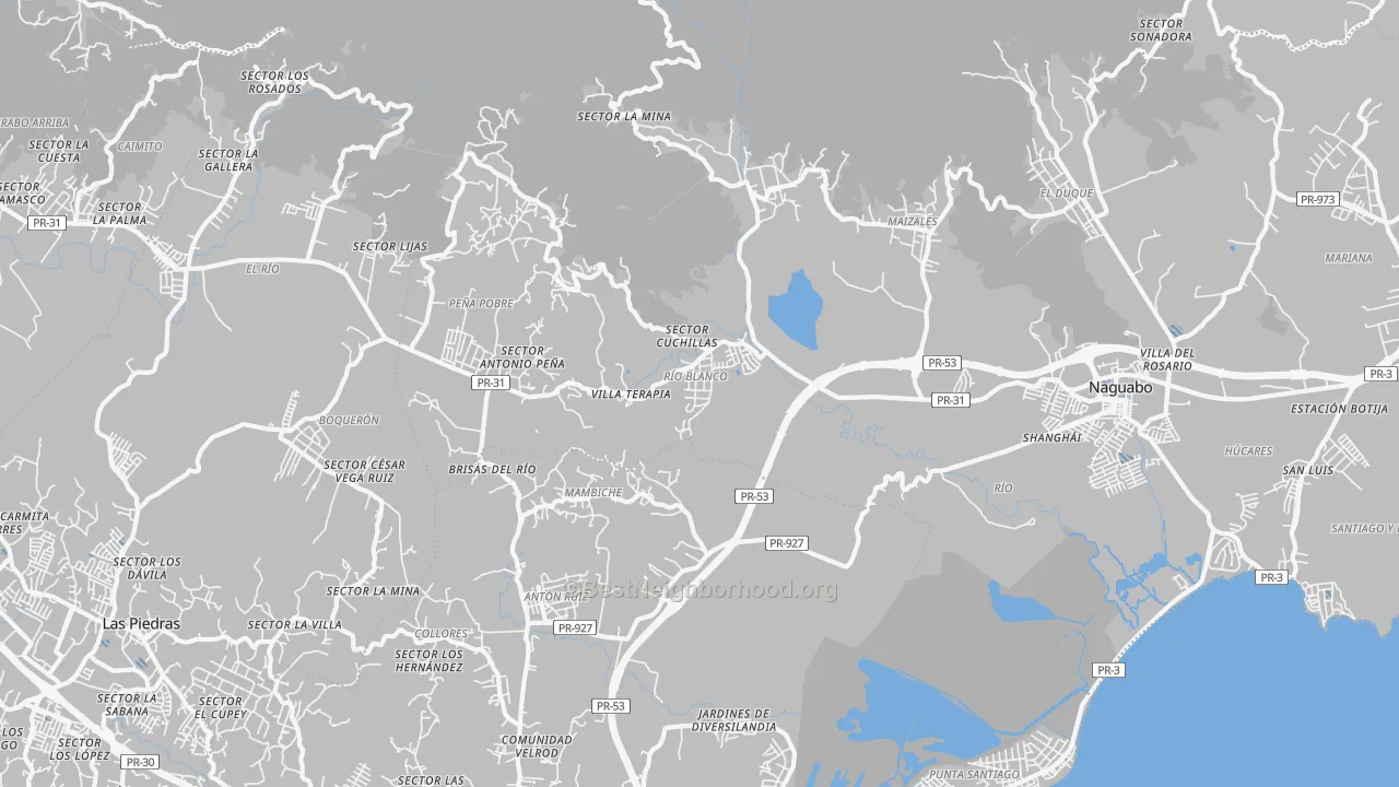 Transit Grade map of Naguabo, PR