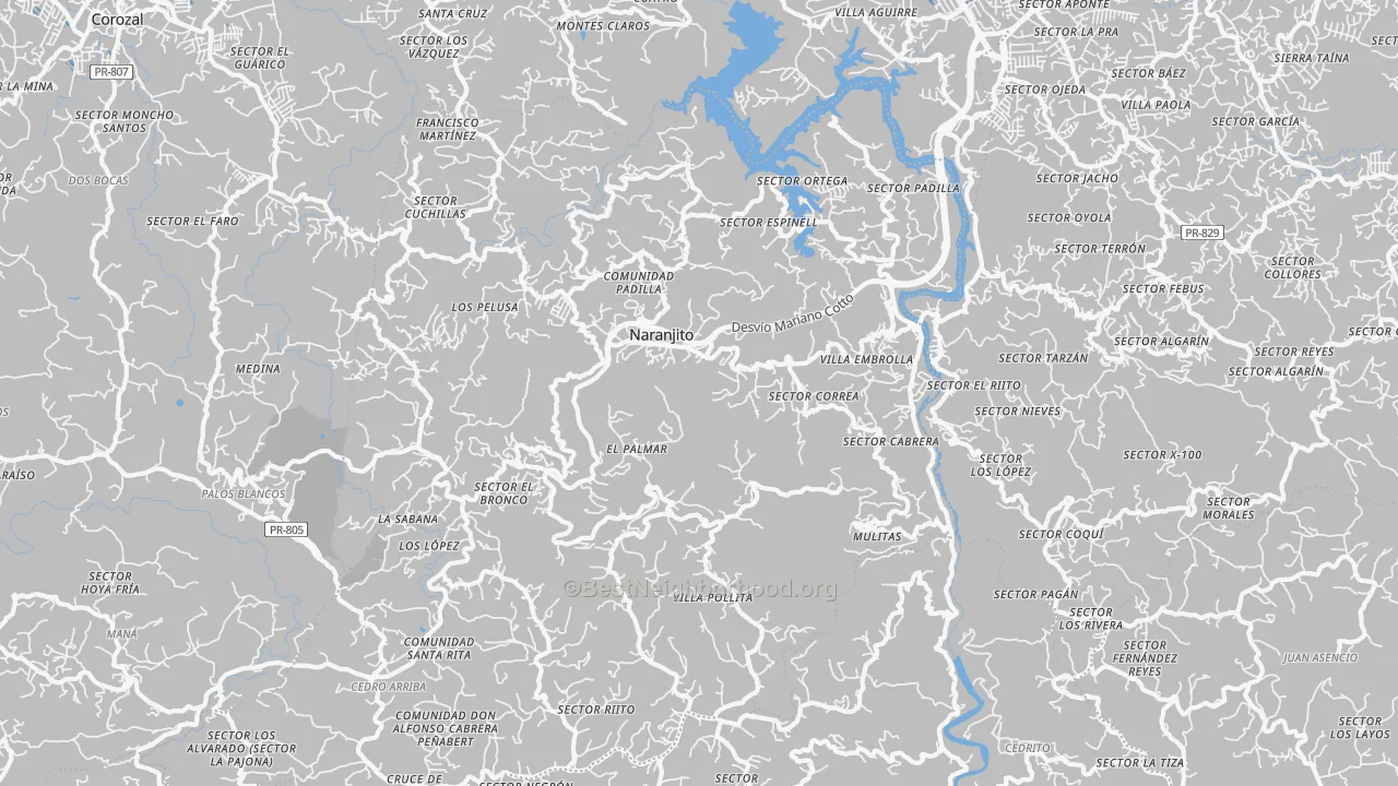 Transit Grade map of Naranjito, PR