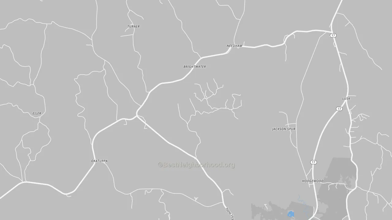 Transit Grade map of Needham, AL