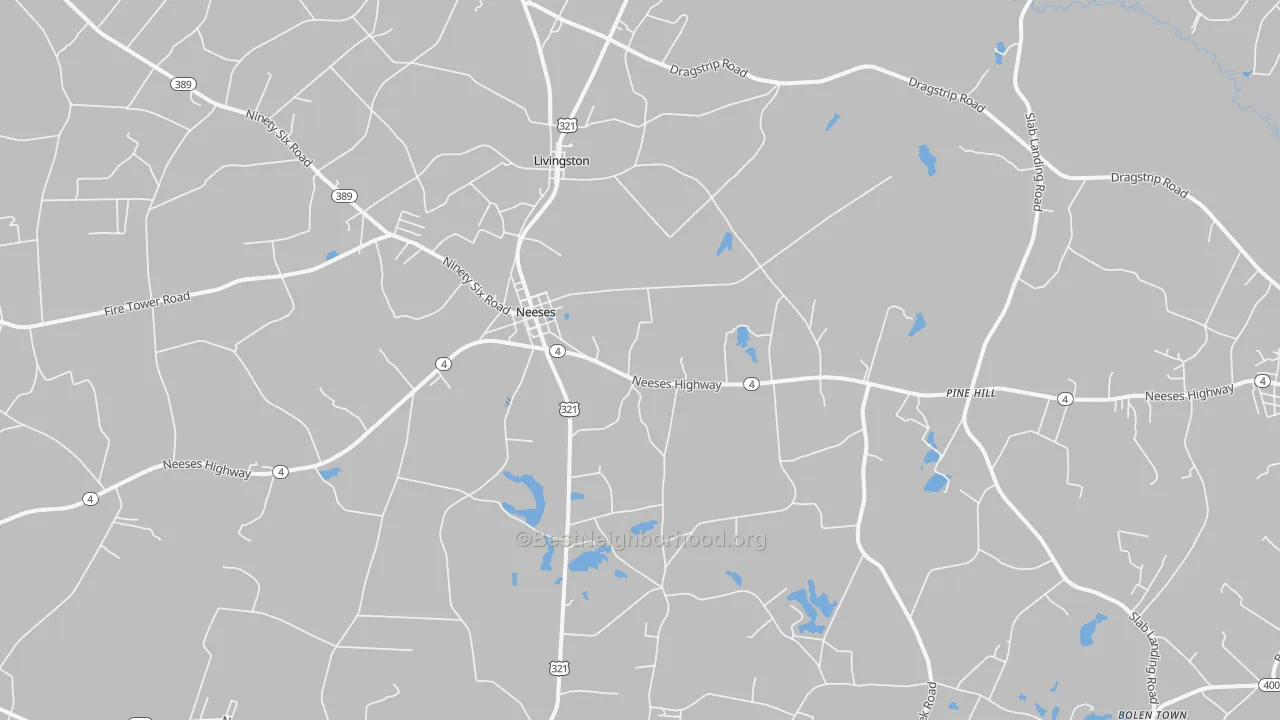 Transit Grade map of Neeses, SC