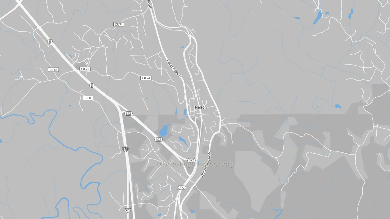 Transit Grade map of Nelson, GA