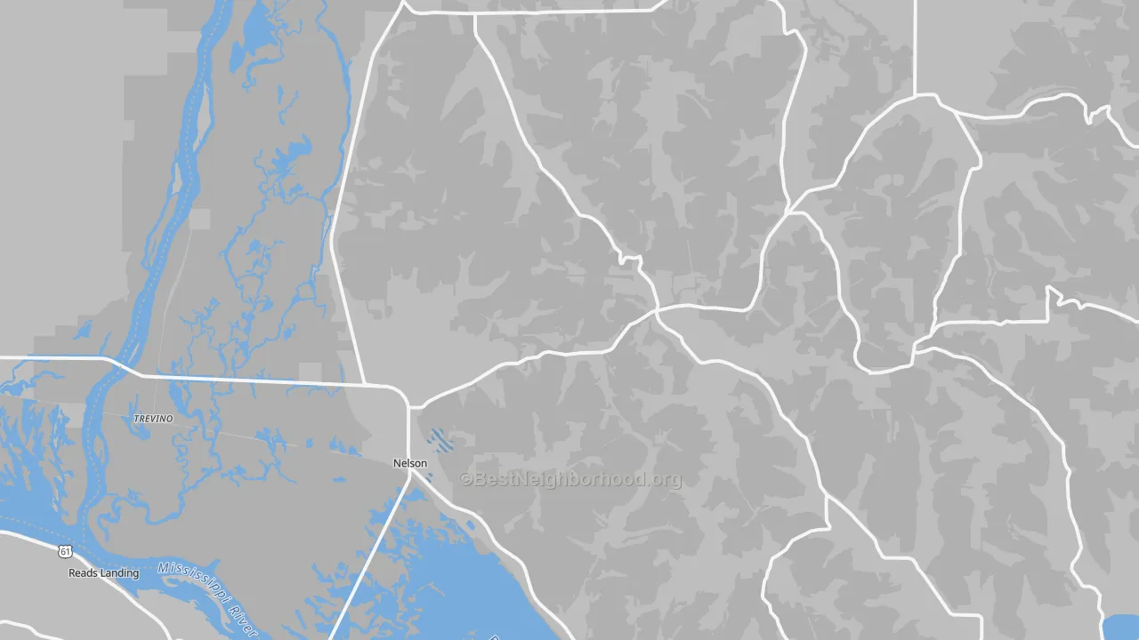Transit Grade map of Nelson, WI