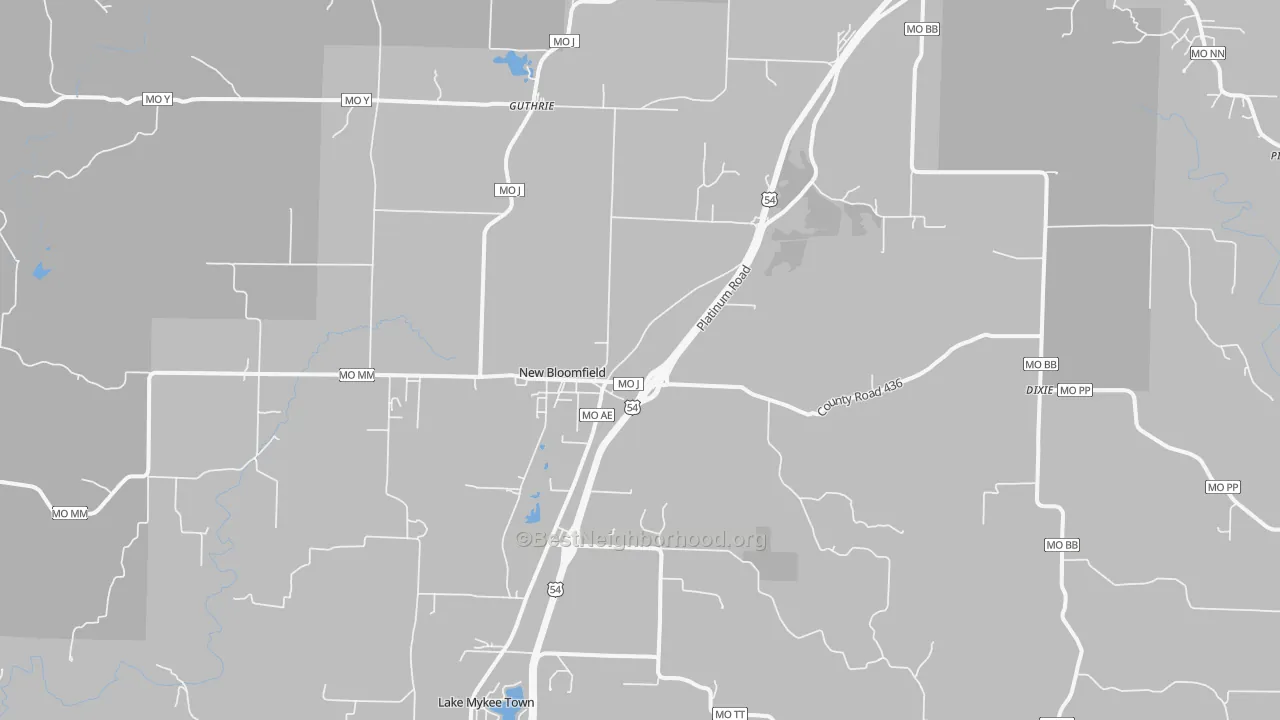 Transit Grade map of New Bloomfield, MO