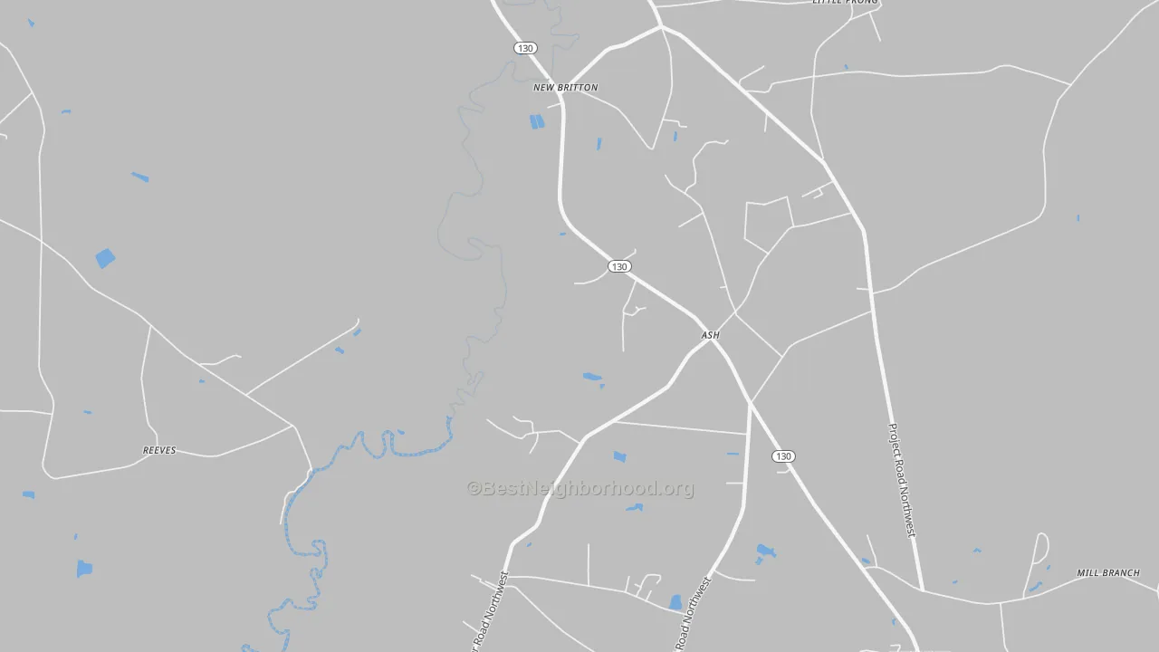 Transit Grade map of New Britton, NC