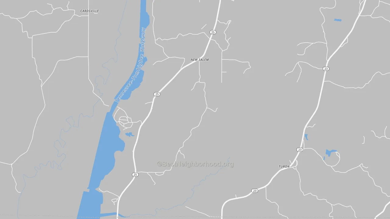 Transit Grade map of New Salem, MS
