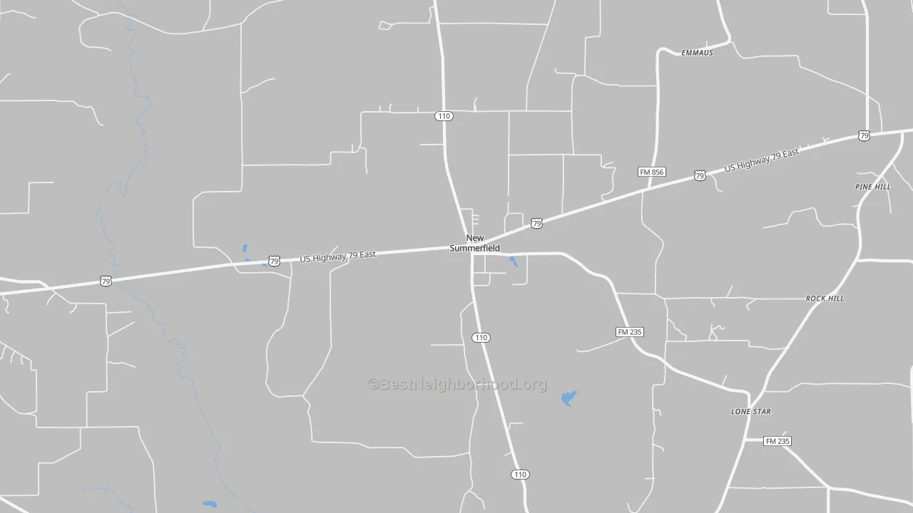 Transit Grade map of New Summerfield, TX