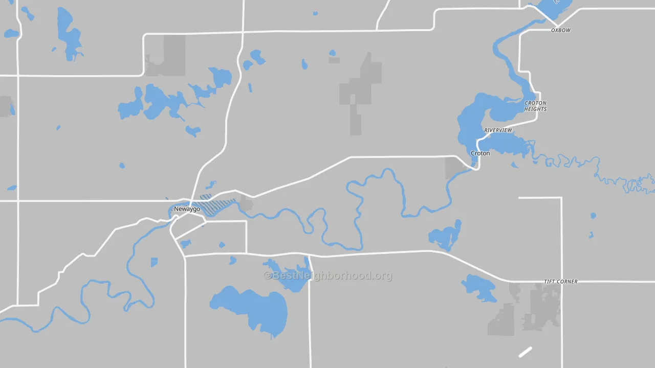 Transit Grade map of Newaygo, MI