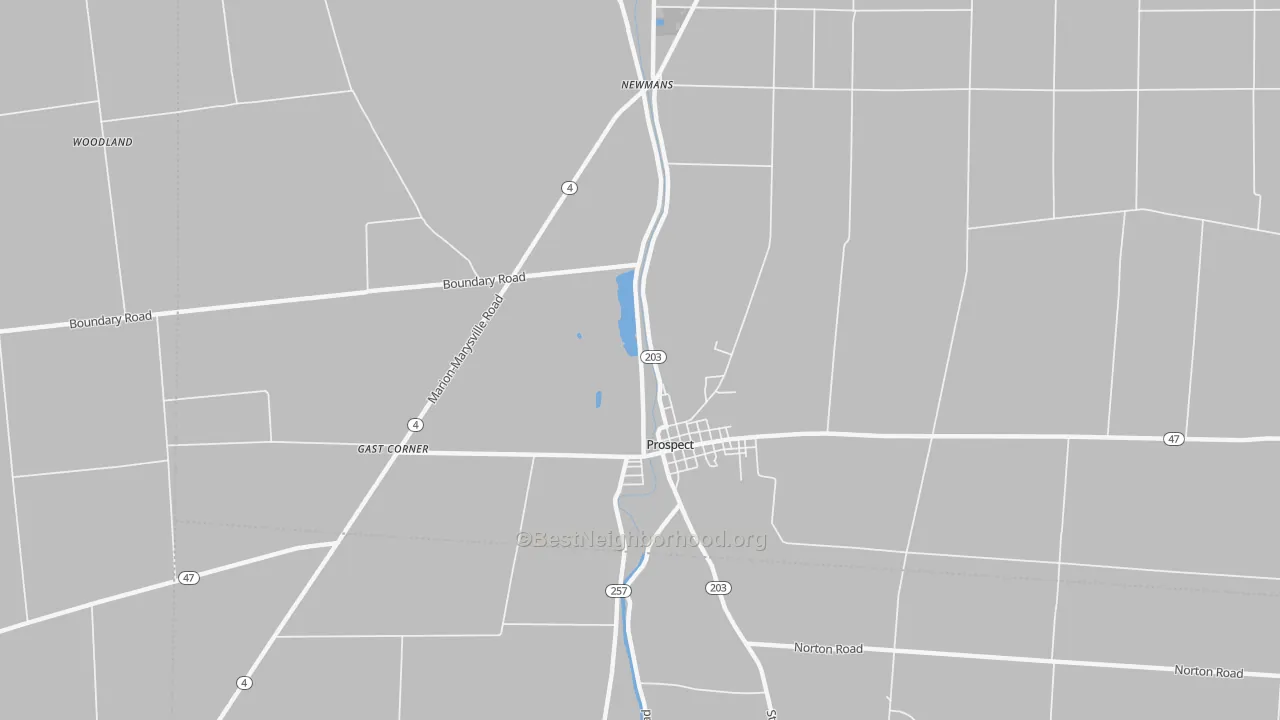 Transit Grade map of Newman, OH