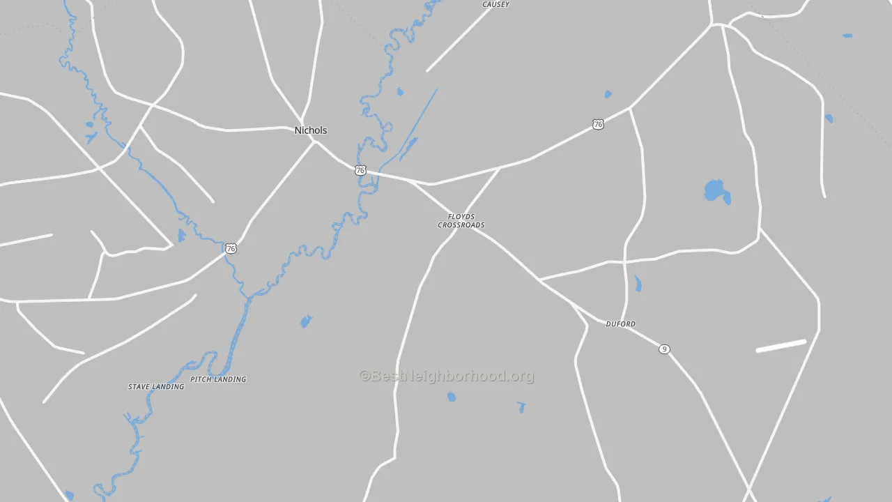 Transit Grade map of Nichols, SC
