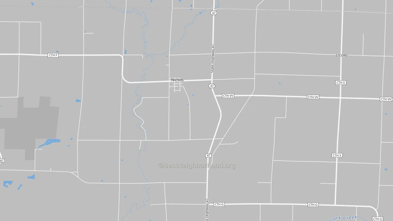 Transit Grade map of Nichols, WI