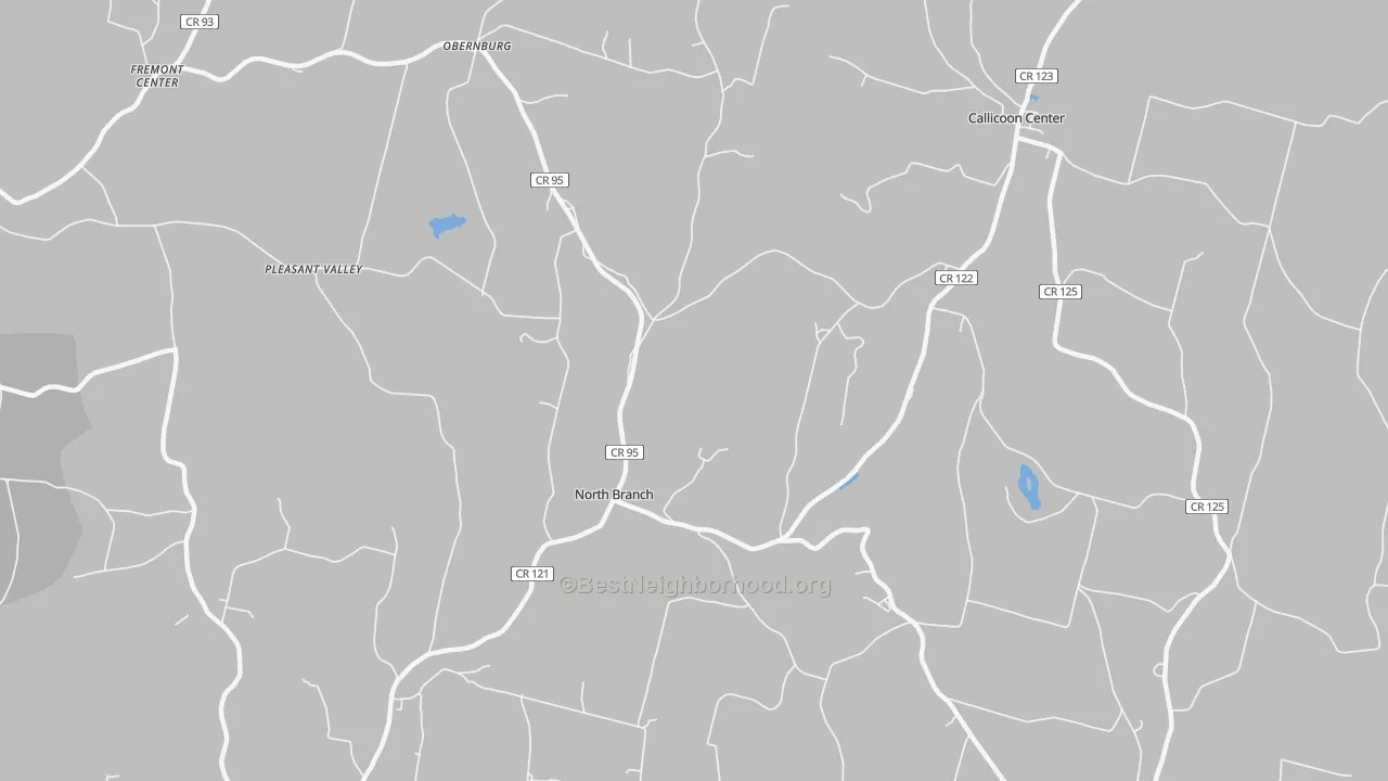 Transit Grade map of North Branch, NY