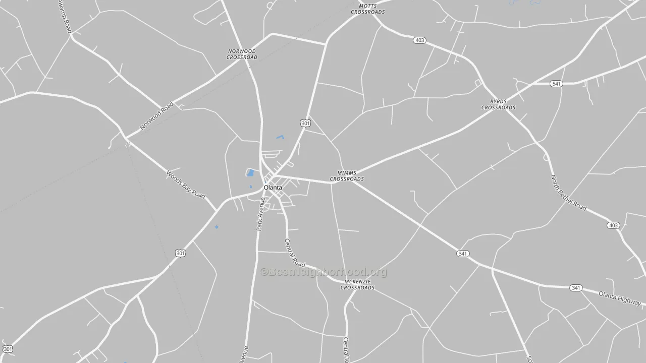 Transit Grade map of Olanta, SC