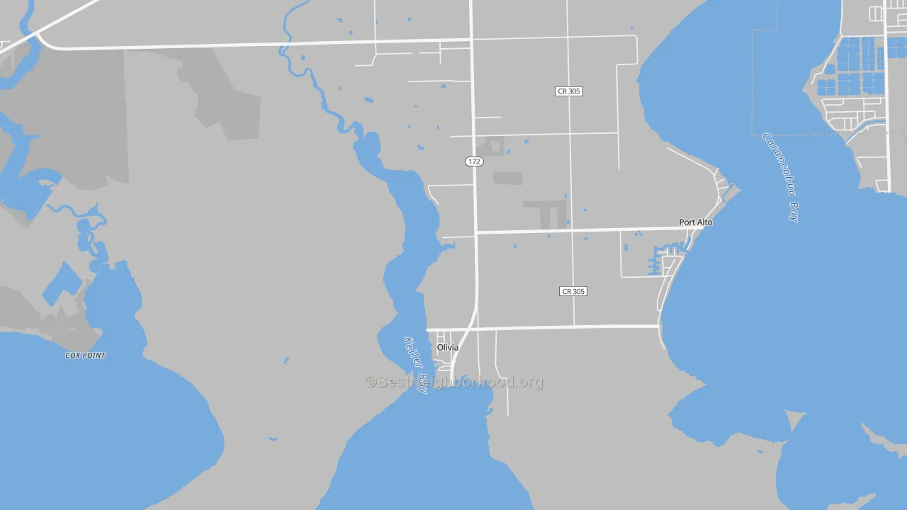 Transit Grade map of Olivia, TX