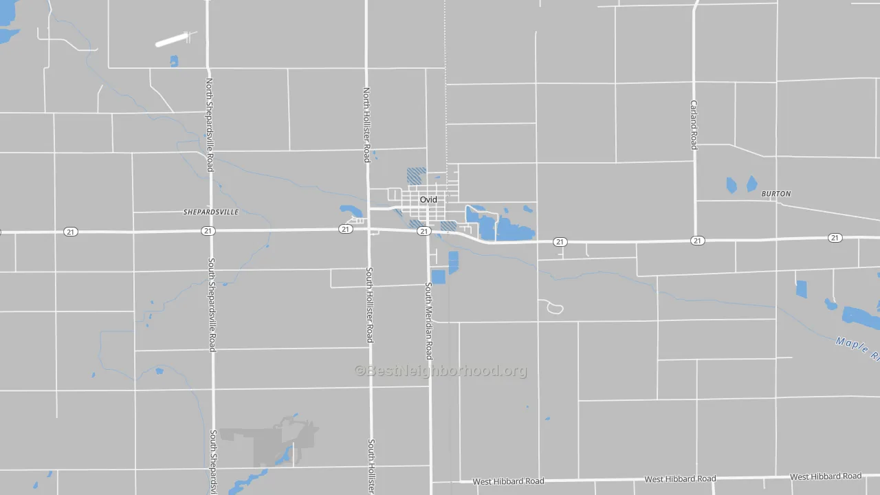 Transit Grade map of Ovid, MI