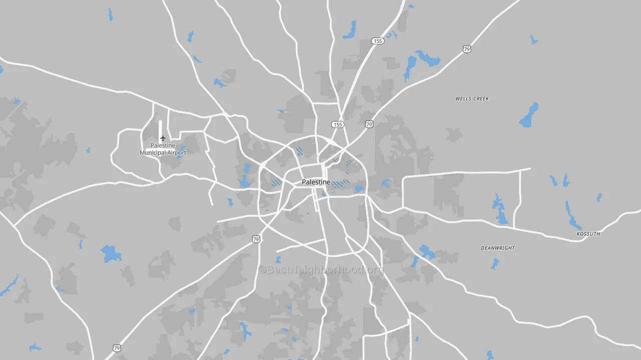 Transit Grade map of Palestine, TX