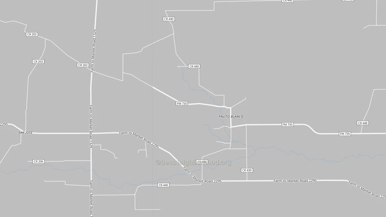 Transit Grade map of Palito Blanco, TX