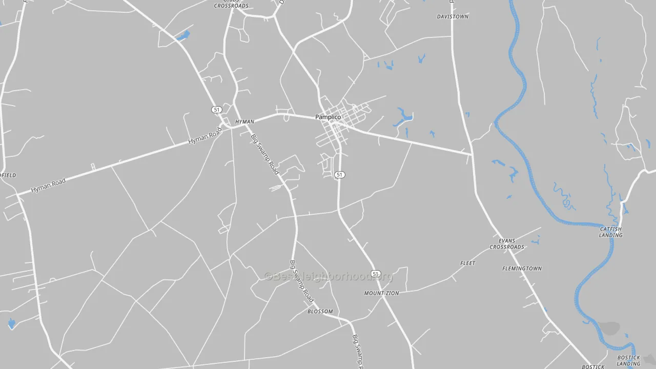 Transit Grade map of Pamplico, SC