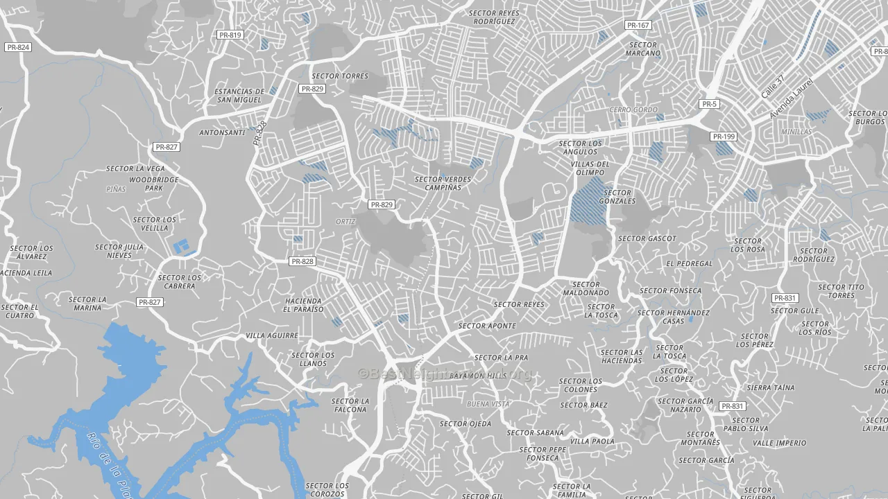 Transit Grade map of Parcelas van Scoy, Bayamon, PR