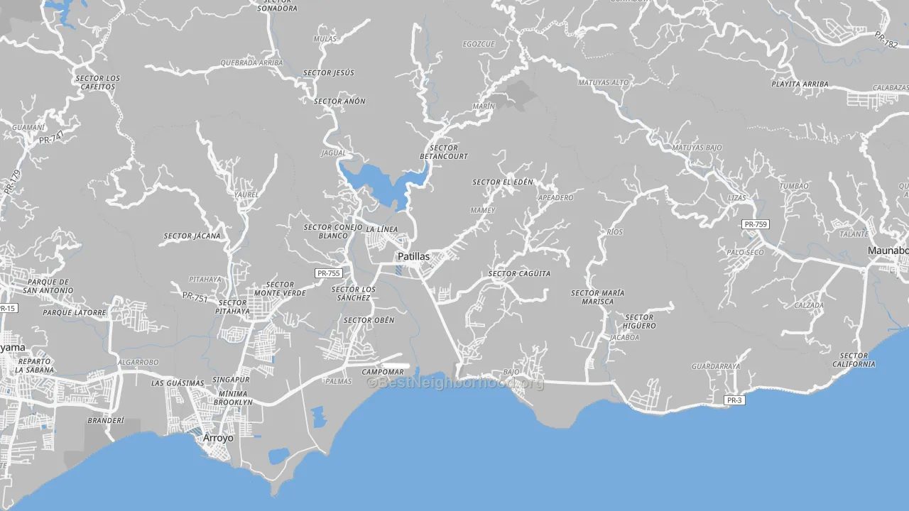 Transit Grade map of Patillas Municipio, PR