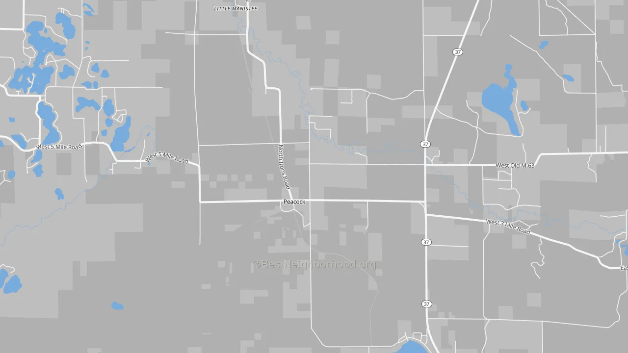 Transit Grade map of Peacock, MI