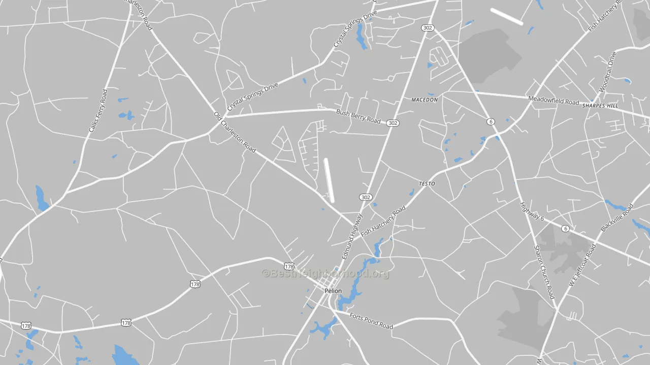 Transit Grade map of Pelion, SC