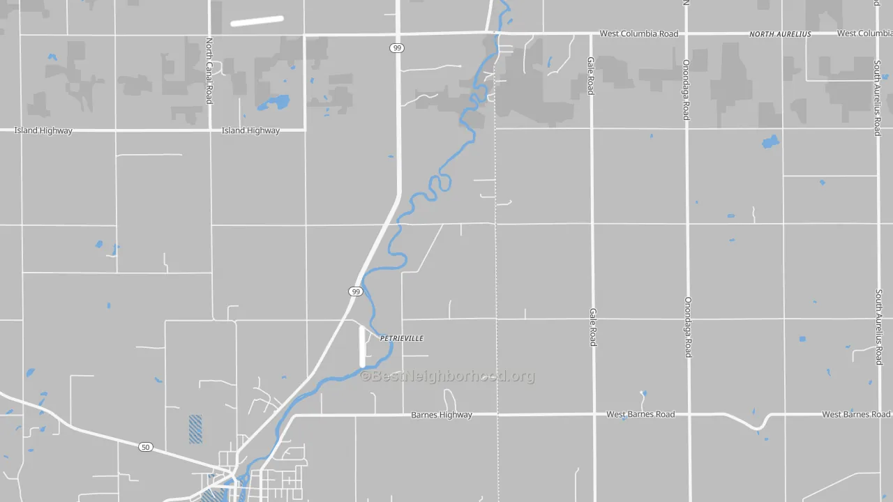 Transit Grade map of Petrieville, MI
